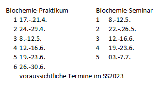 Zeitplan-BC-SS2023.png