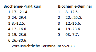 Zeitplan-BC-SS2023.png